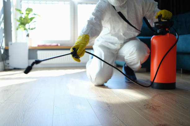 Reliable Odor Removal contractor in Kyburz, CA by Trauma Clean Pros